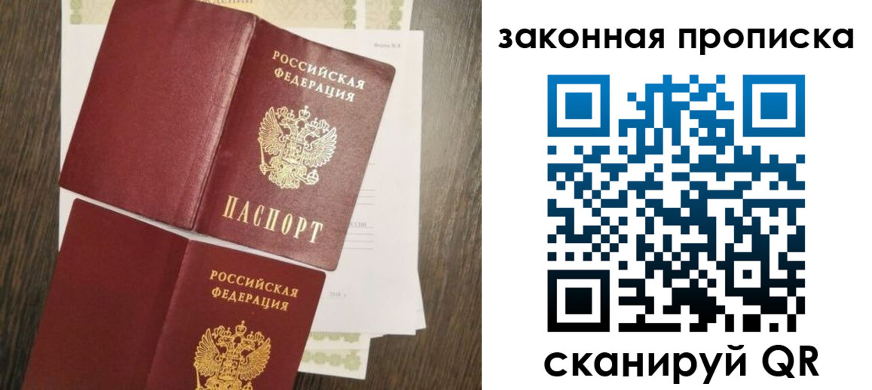 временная прописка в Светлогорске